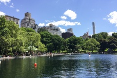 NYC2017123