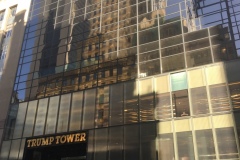 NYC2017137