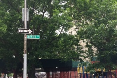NYC2017164