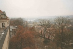 IMG_4810