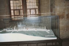 IMG_4812