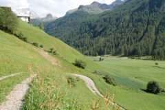 Rein2010026