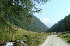 Rein2010032