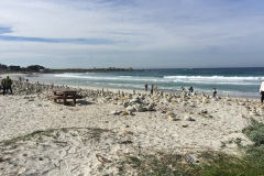 IMG_8947