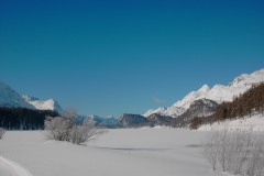 Sils2006W017