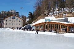 Sils2007W007
