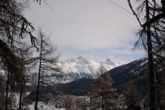 KIF_2520