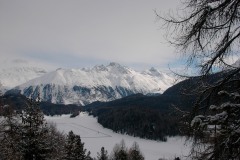 KIF_2522