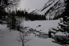 KIF_2535