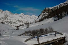 KIF_2549