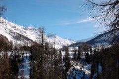 KIF_2567