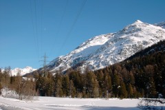 KIF_2590