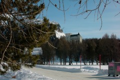 KIF_2629