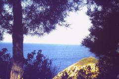 PICT0426