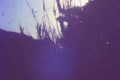 PICT0427