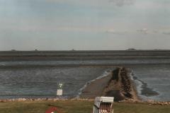 StPeterOrding031