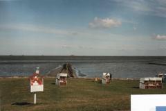 StPeterOrding032