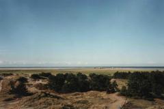 StPeterOrding036