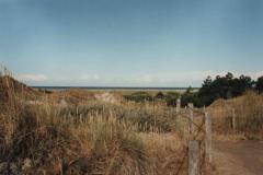 StPeterOrding037