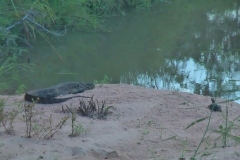 Suedafrika2011018