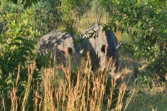 Suedafrika2011019