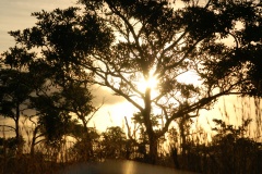 Suedafrika2011021