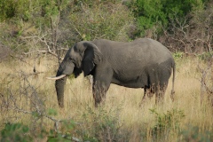 Suedafrika2011027