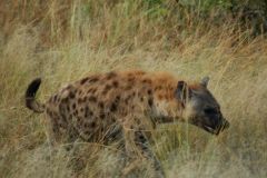 Suedafrika2011028