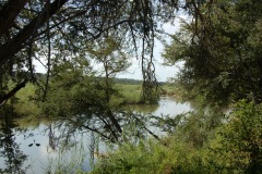 Suedafrika2011032
