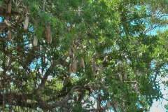 Suedafrika2011042