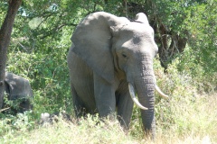 Suedafrika2011049