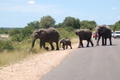 Suedafrika2011050