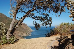 Suedafrika2011076