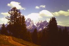 PICT0373