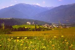 PICT0883