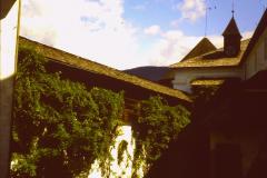 PICT0904