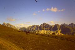 PICT0920