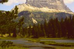 PICT0935