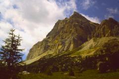 PICT0942