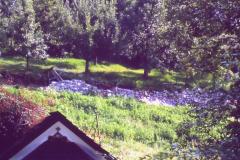PICT0952