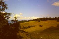 PICT0956