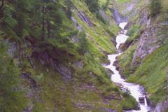 PICT0960