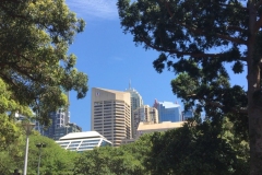SYD003