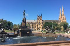 SYD008