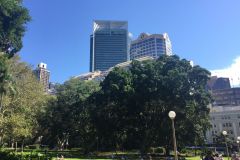 SYD009