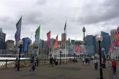 SYD077