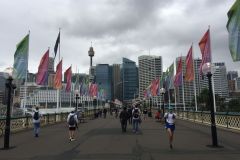 SYD078