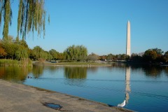 USA2003065