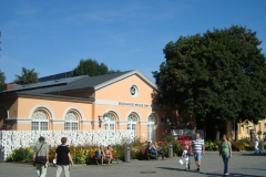 Weimar2009029